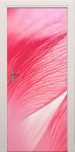 deursticker rozenblaadjes closeup